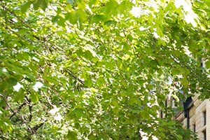 Reside at 2727 Reside at 2727 Community Thumbnail 1